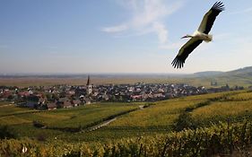 Les Chambres Du Vignoble